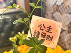 -松咖啡自助餐厅·松北香格里拉