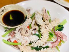 鲜鱿鱼-潮粥馆(长江花园店)