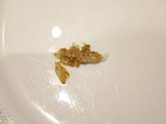 蟹粉豆腐煲-上海和平饭店龙凤厅 Dragon Phoenix