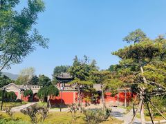 -晋祠公园