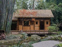-望江楼公园