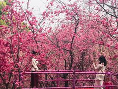 -昆明动物园
