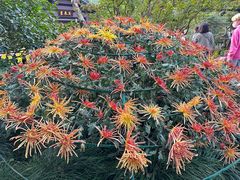 -杭州植物园