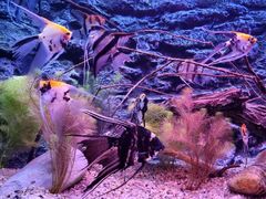 -上海海洋水族馆