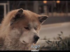 -涩谷区