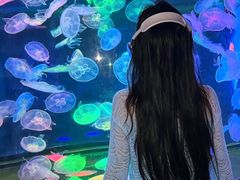 -合肥海洋世界