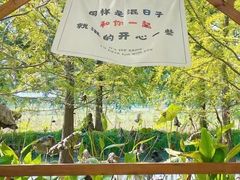 -上海方塔园