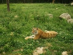 -西安秦岭野生动物园