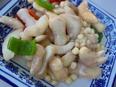 菱角鸡头米-水岸居湖景农家乐·阳澄湖大闸蟹