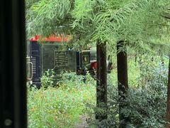 -合肥滨湖国家森林公园