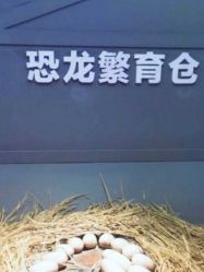 -恐龙探索乐园(磁器口店)