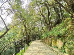-南山植物园