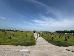 -坝上草原大汗行宫旅游景区