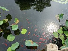-东山雕花楼