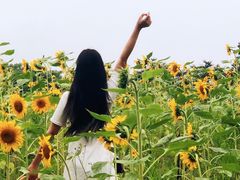 -洪湖家庭农场·团建·露营·会议