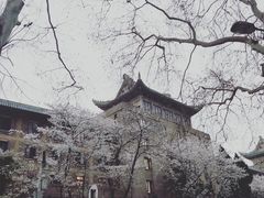 -武汉大学-樱园