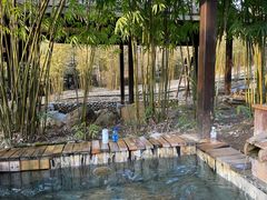 -崇阳三特浪口温泉