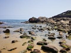 -南国锋味椰子鸡(瀚海店)