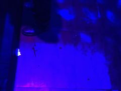 -天晴88BAR(黄岛店)