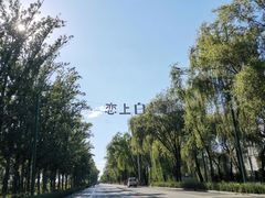 -铁锅炖灶台鱼老三炖鱼馆
