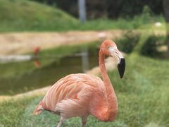 -沈阳森林动物园