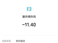 -潘师傅炸鸡(中央路店)