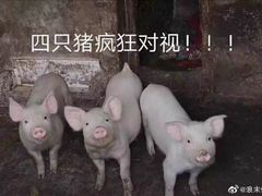 -回民餐厅(红旗路店)