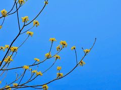 -敬亭山风景名胜区