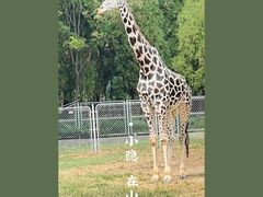 -石家庄市动物园