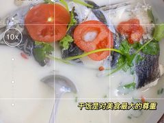 -全乐鱼馆·淳牌有机鱼直营店