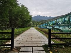 -杨梅坑