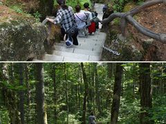 -汤旺河林海奇石景区
