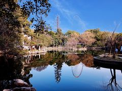 -无锡蠡湖国家湿地公园-蠡园