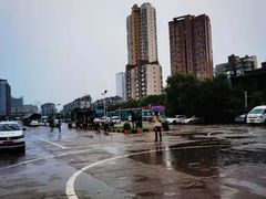 -白云驾校(樟树林校区)