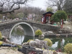 -鹅湖玫瑰文化园