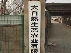 -大自然农场蔬菜草莓采摘园