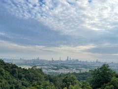 -火炉山森林公园