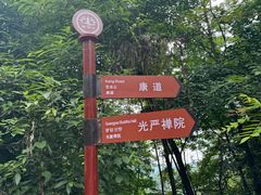 -凤栖山