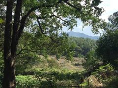 -塔川景区