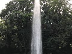 -九龙公园