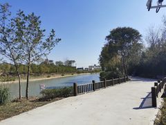 -合肥滨湖国家森林公园