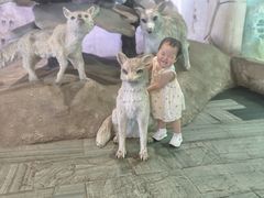 -华夏文旅海洋公园