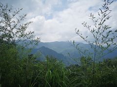 -江南天池