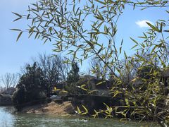 -思念果岭悦温泉