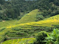 -南靖田螺坑土楼群景区