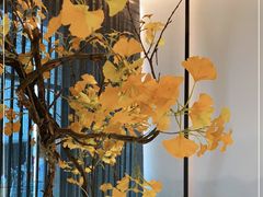 -京华烟云·北京烤鸭(领展购物广场·中关村店)