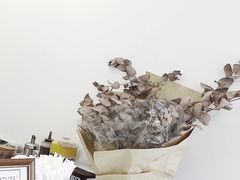 -麻雀咖啡SPARROW COFFEE(十全街店)
