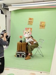 -倾城宝贝儿童摄影(新辰里酒仙桥店)