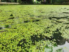 -成都市活水公园