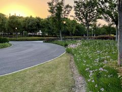 -上海山野camping·户外天幕烧烤·团建拓展营地